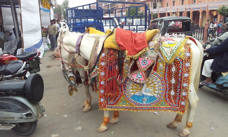 071_StreetsOfJaipur06