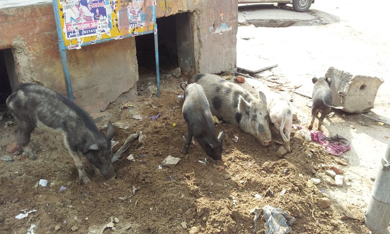 076_StreetsOfJaipur11
